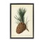 Stupell Industries Detailed Pine Cone Sprig Floater Framed Canvas Wall Art Design by Tina Higgins Designs, Inc.